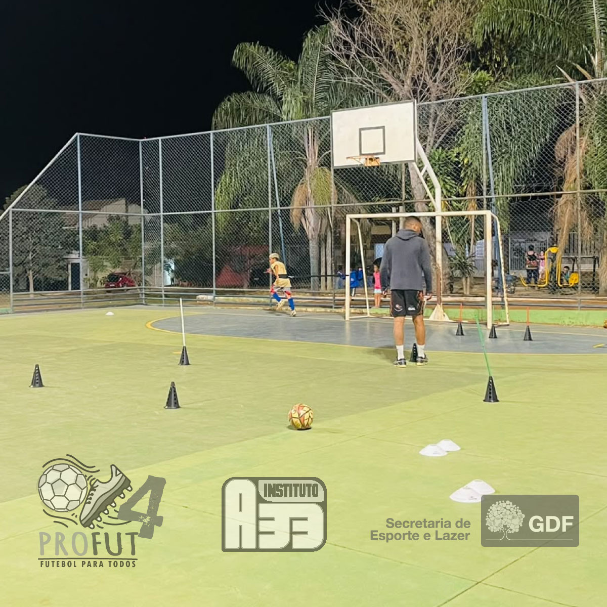 PROFUT 4