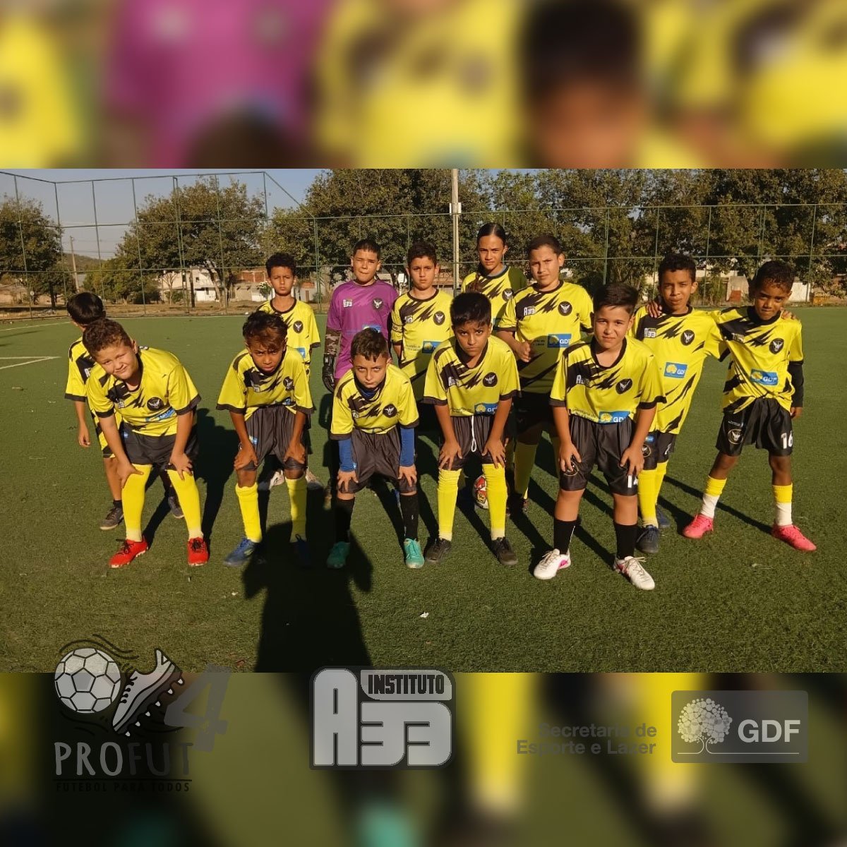 PROFUT 4